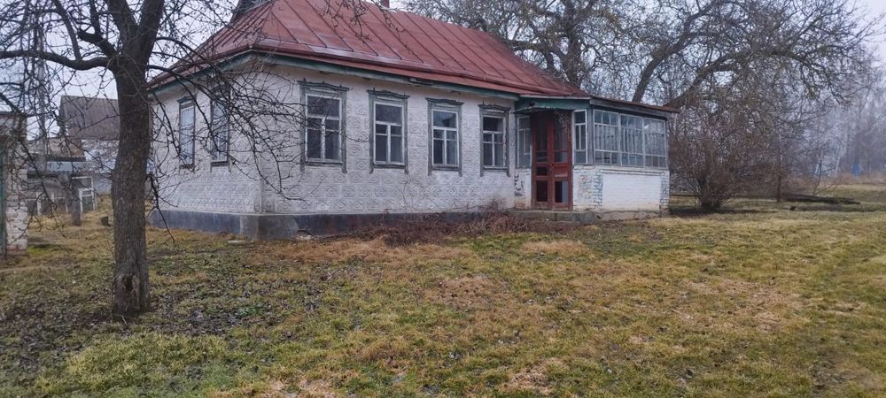 Продаж будинку в Черкаській області, с. Лебедин