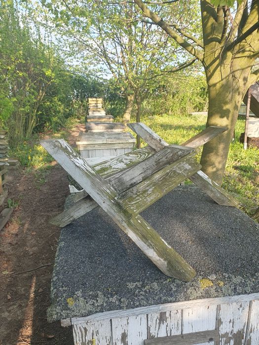 Ule wielkopolskie 10r Poławiacze  PYŁKU DENNICIOWE w komplecie