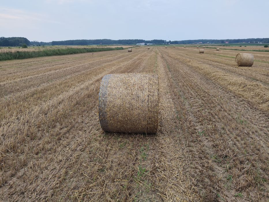 Słoma w belach z 2026