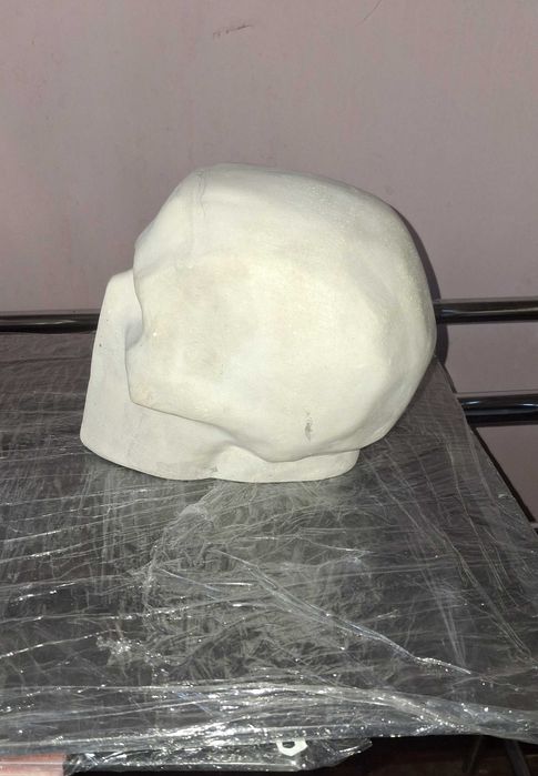 модель гіпсового черепу "обрубовка"