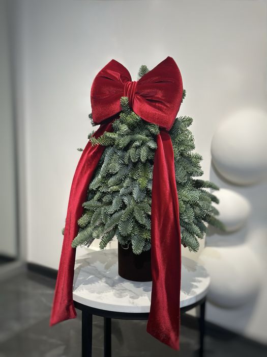 Бант червоний бордо велюр