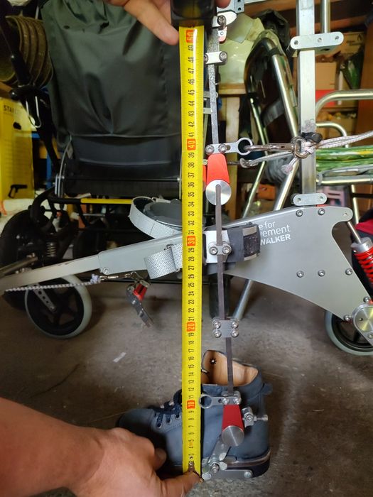 Pionizator Walker