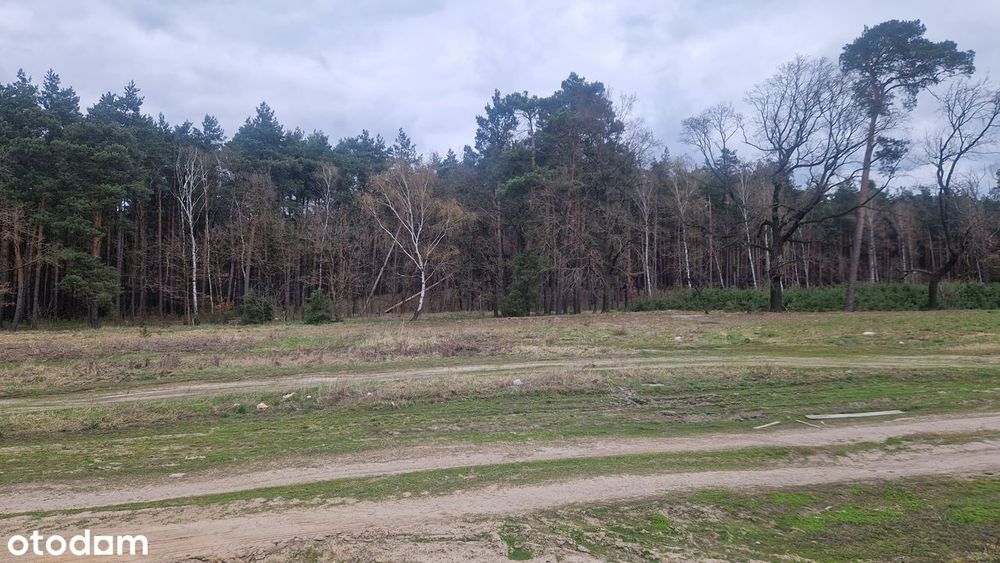 Działka przy lesie