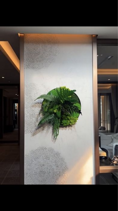 Panel z mchu zielone ściany mech chrobotek panele z mchu żywy mech