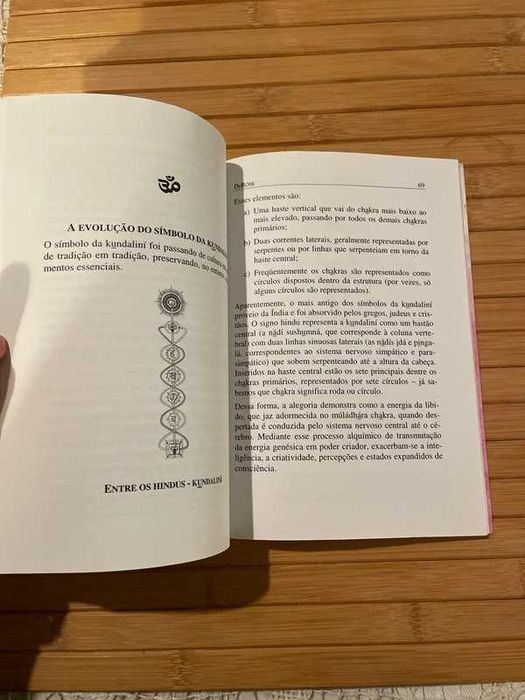 "Chakras e Kundaliní" Revelações sobre os Centros de Força do Corpo