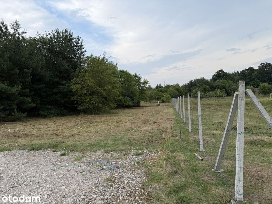 Działki budowlane Zimna Woda k. Lubina i Legnicy - Widok 4