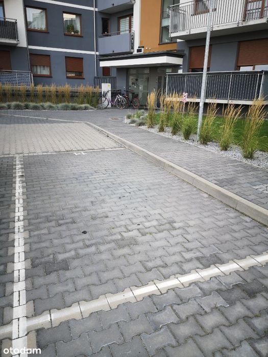 Nowe mieszkanie z balkonem do wynajęcia od zaraz.