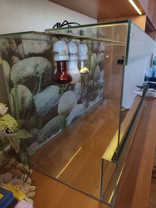 Terrarium szklane 100×40×50 cm używane | Poznań