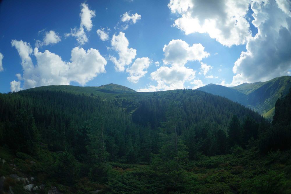 Продам Землю Карпаты Косовский район Ивано-Франковска область