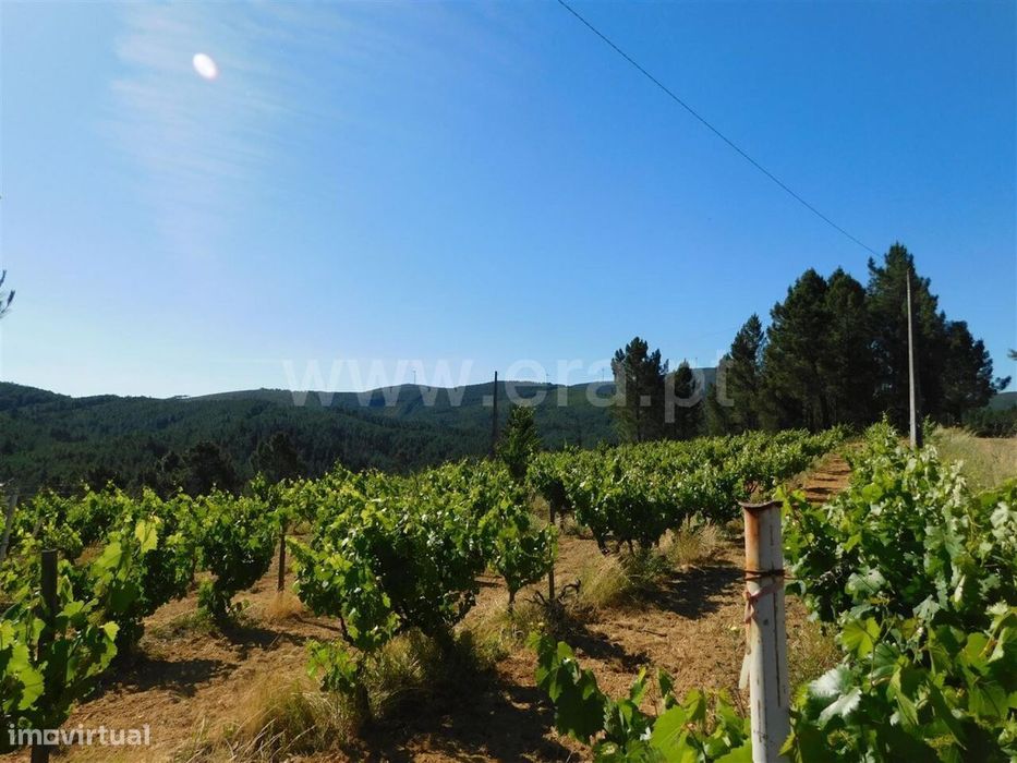 Terreno / Fundão, Silvares