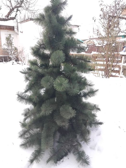 Новорічна ялинка