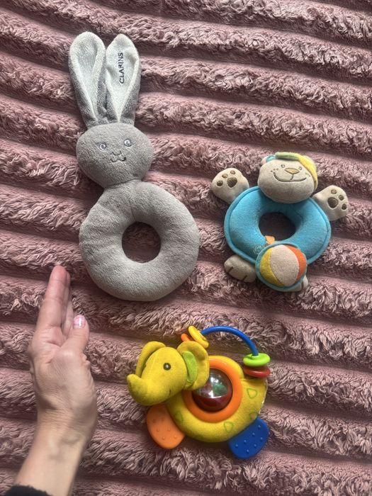 Брязкальця, гризун