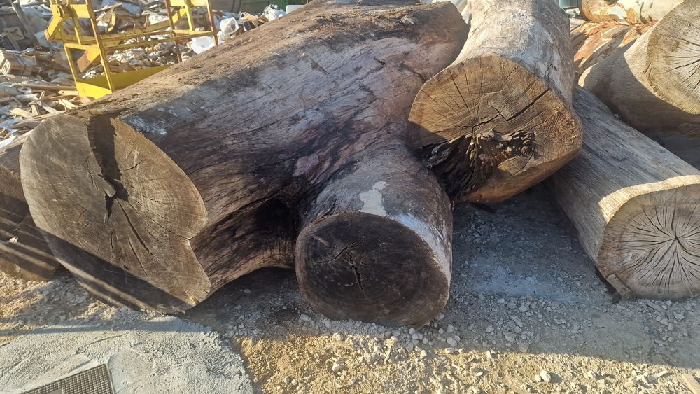 Lote de troncos paus para tampos de mesas rusticas carvalho cedro euca