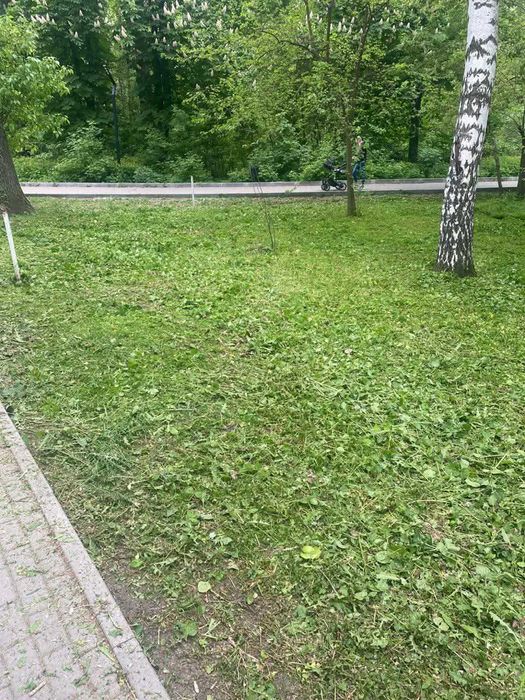 Уборка Участков,Спил деревьев,покос,Планировка,Вывоз мусора