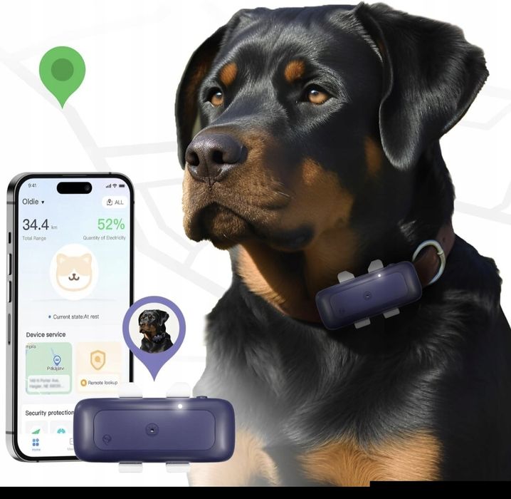 Nowy Lokalizator GPS dla psa / kota SEEWORLD 4G - Śledzenie w telefonie