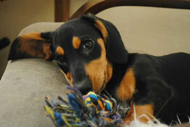 Гармонія ліній і кольору — чорні такси