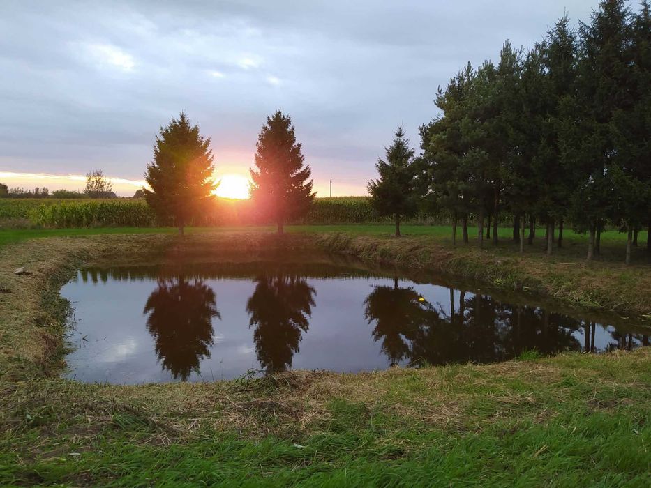 Dom – Godziszewy, powiat rypiński - Widok 5