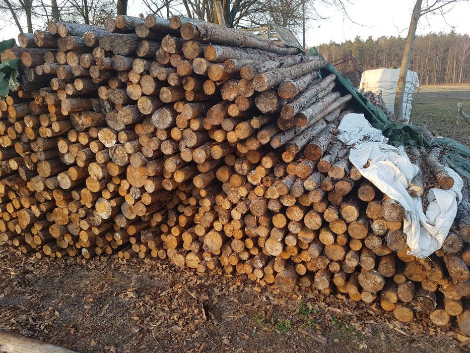 Stemple Budowlane 2.40m Średnica 7-9 cm Sosna Olcha