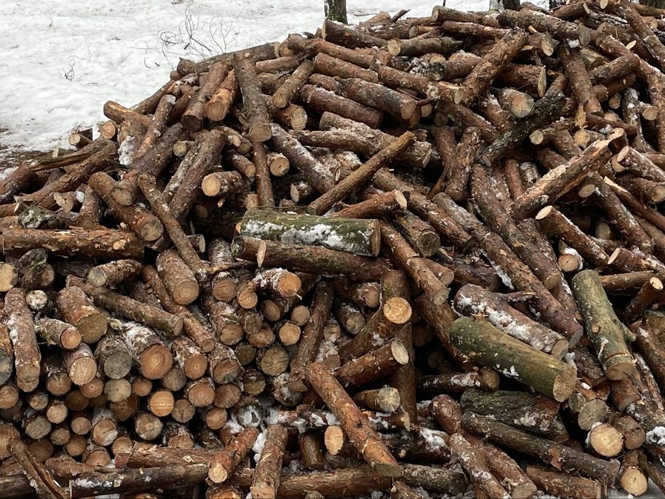 Drewno na sprzedaż gałęziówka
