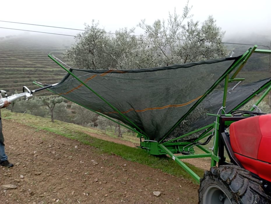 Apanha frutos ou azeitona manual