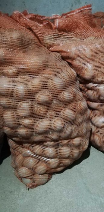 Sprzedam ziemniaki paszowe