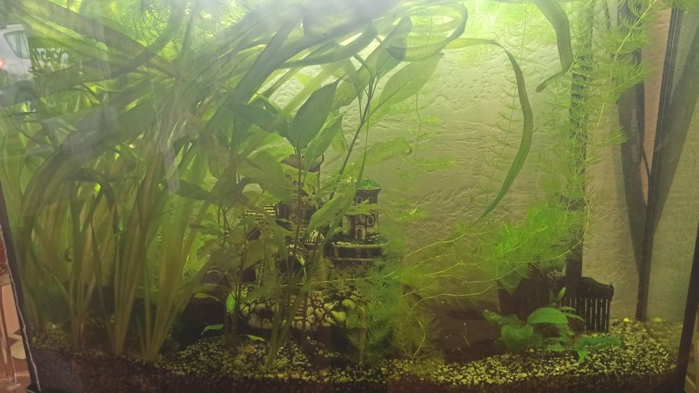 Akwarium ok 140l