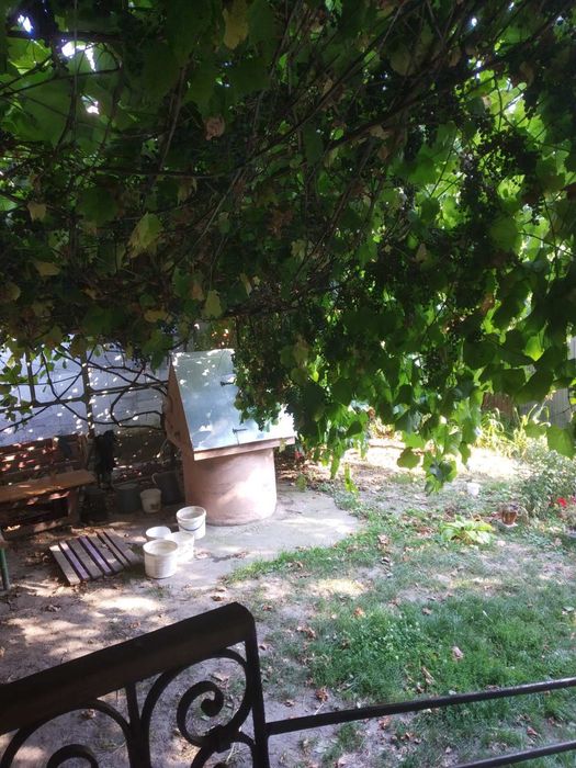 Продам будинок смт Людвинівка вул. Центральна