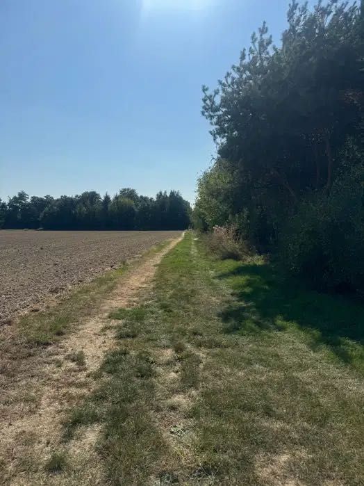 2 ostatnie działki 300m od Jeziorska - Popów - Widok 3