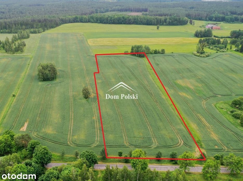 Działka inwestycyjna 2,10 ha na Mazurach - Harsz - Widok 2