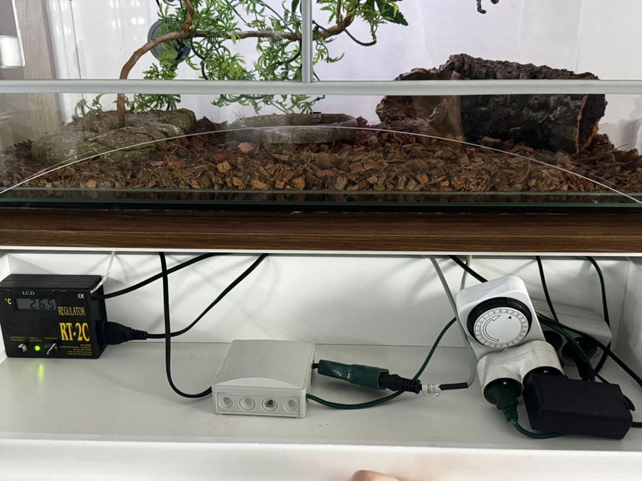 Terrarium 80x50x40 z wyposażeniem