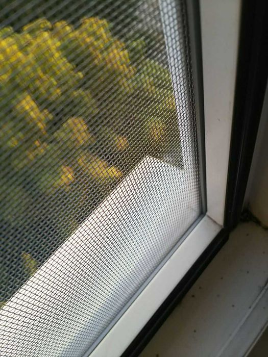 Защитная москитная сетка Антикошка (2в1) спецзаказ Доставка по Украине
