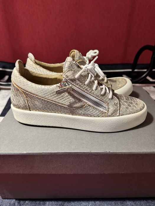 Giuseppe Zanotti