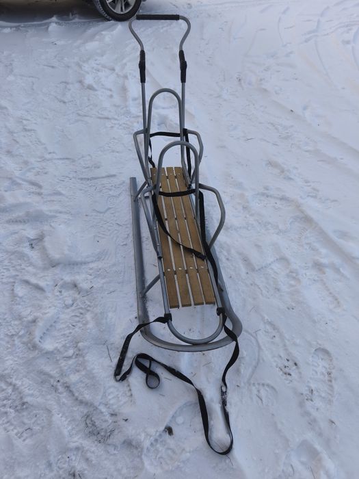 Санки для двійні