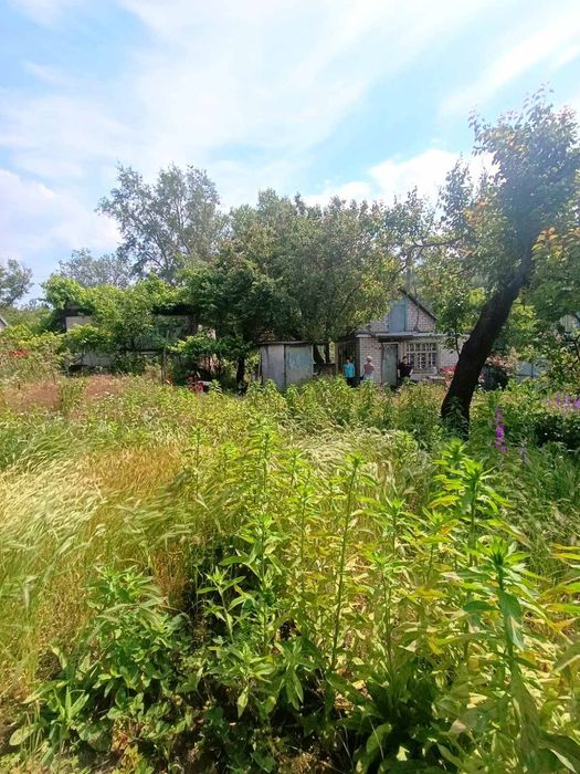 Продам дачу с/т Дніпро