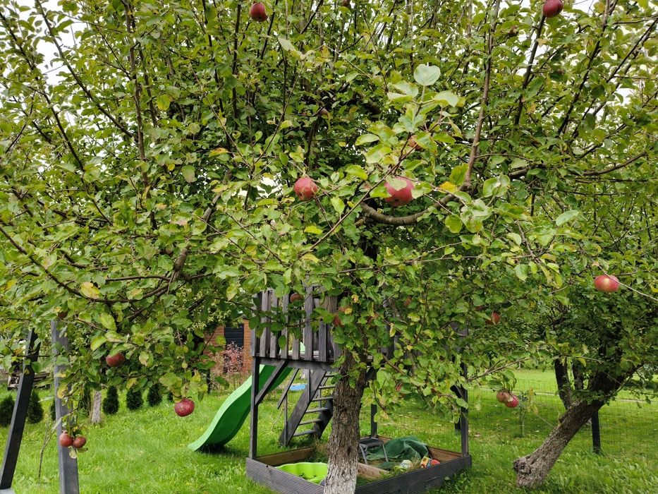 Sprzedam działkę ROD. Na wodnej dolinie.