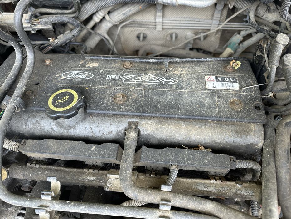 Двигун ford focus 1.6 zetec 3