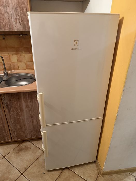 Chlodziarko-zamrażalka Electrolux