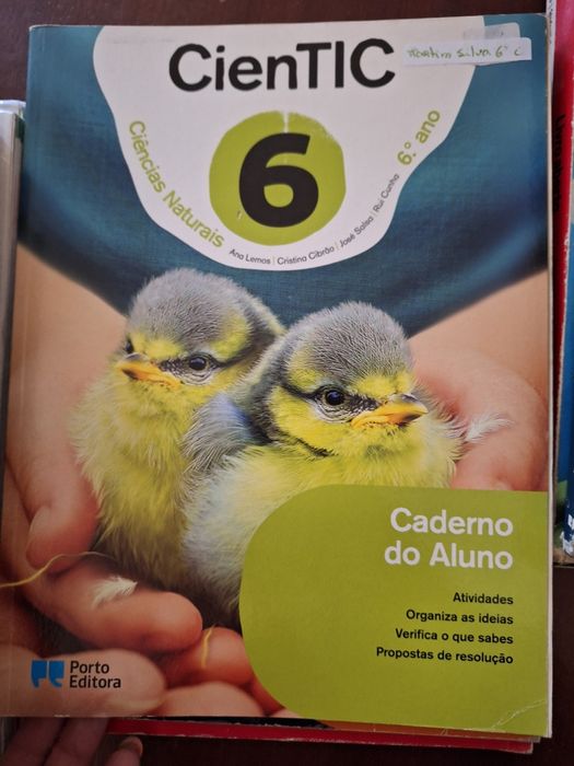 Manuais 6ano bom estado