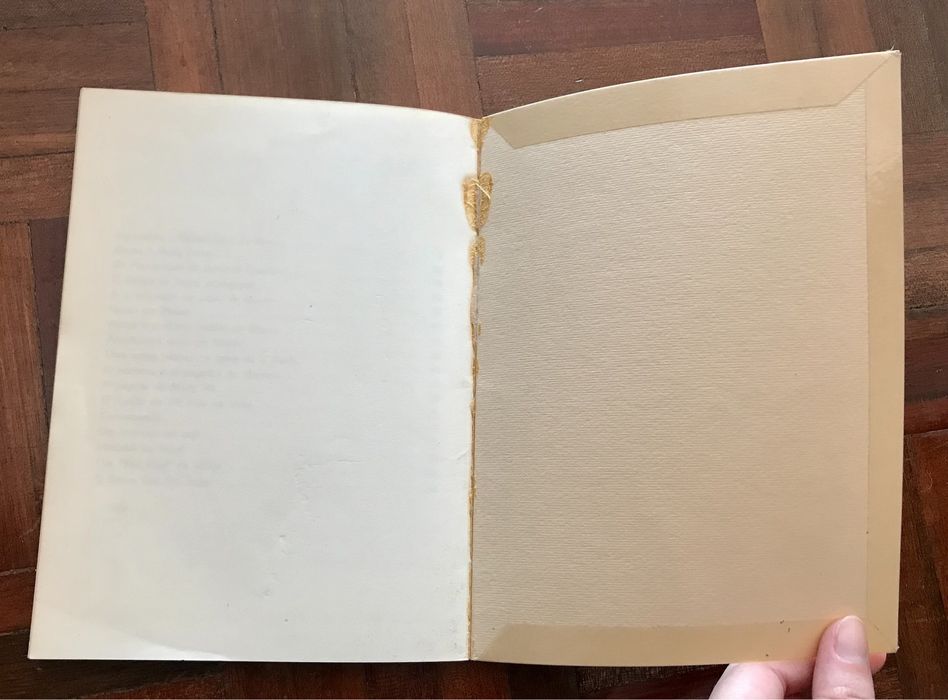 Livro: "Macau Impressões e Recordações", de Manuel da Silva Mendes