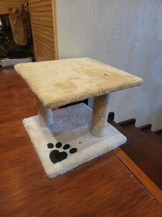 Когтеточка по цене минимальной