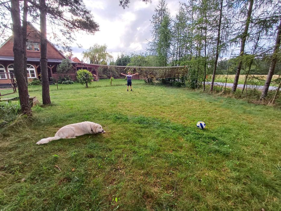 Dom pod lasem Cisza- Spokój.  AKCEPTUJEMY ZWIERZĘTA!!!