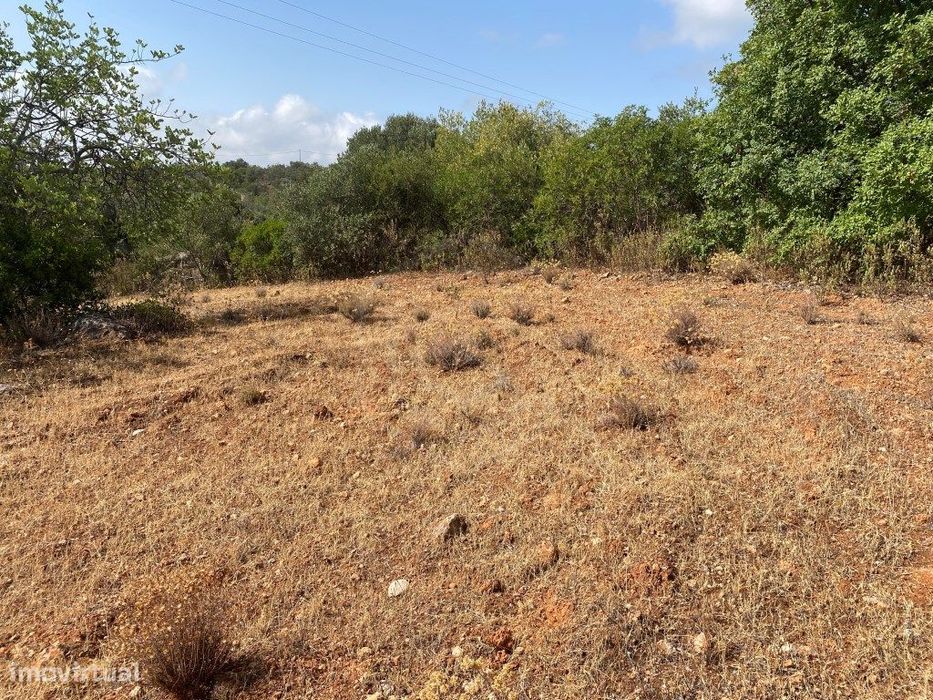 Lote de Terreno Rústico no Serro dos Passarinhos, Loulé, Algarve