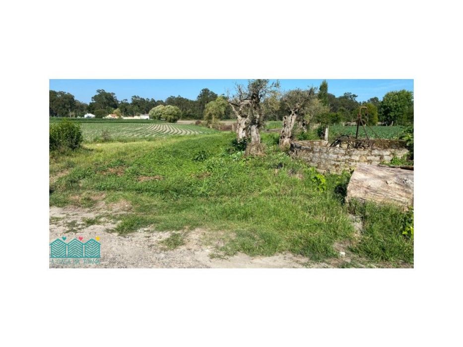 Plot of Land with Approved Project in Bunheiro