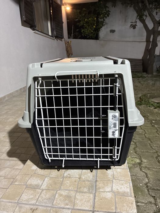 Caixa transporte animais