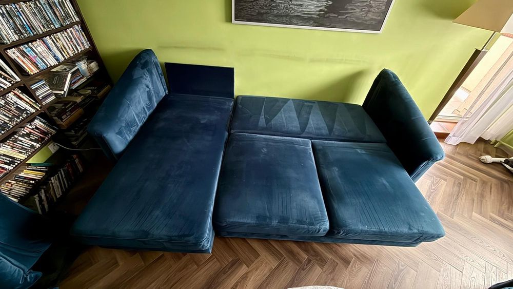 Rogówka Agata 2letnia w pięknym niebieskim kolorze