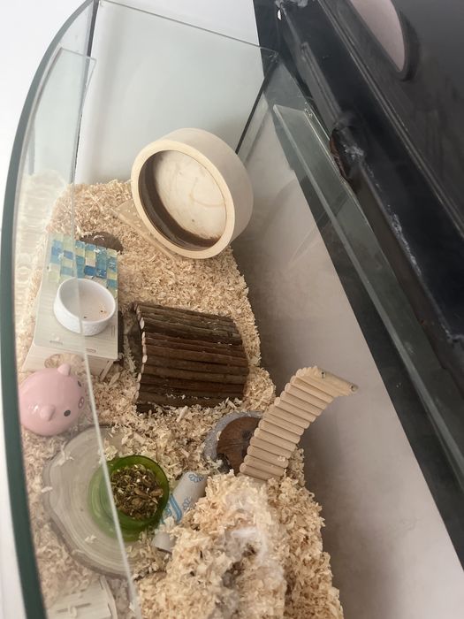 Akwarium terrarium dla chomika