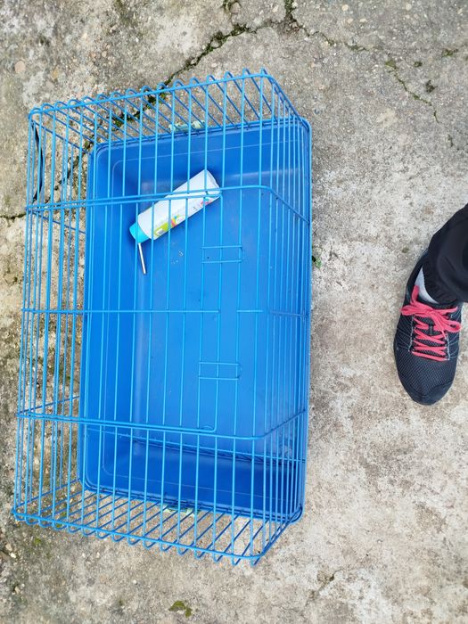 Gaiola para Coelho ou porquinho anao