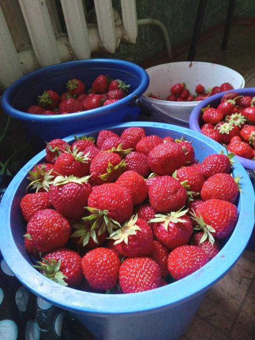 Продається дача Центр-Міський район біля Макулану