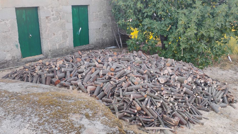 Vendo Lenha de mimosa