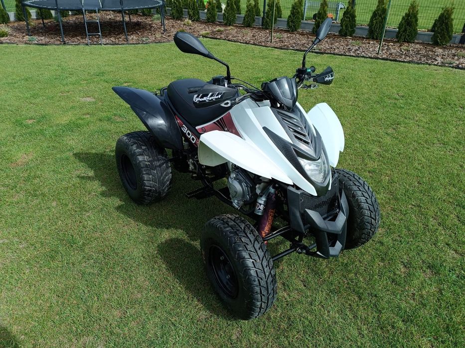 Quad Dinli Dl 801-300 2013